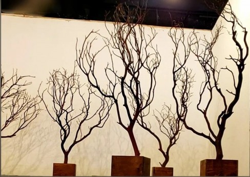 Manzanita Branches Centerpieces