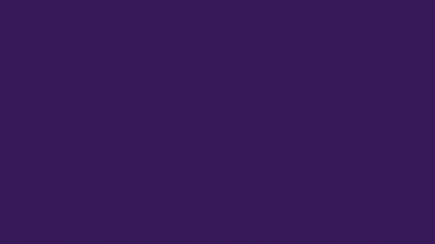 Purple 10' Banquet