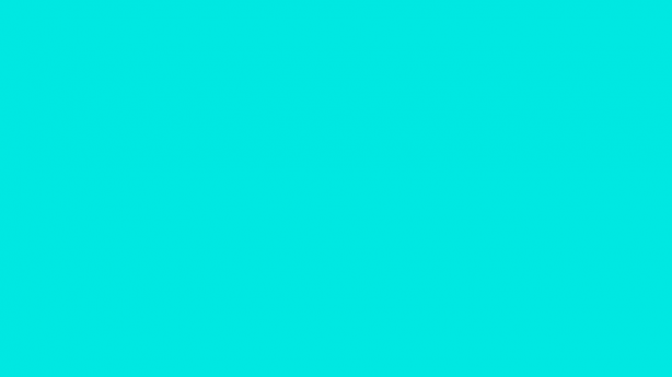 Turquoise Napkin (Dozen)