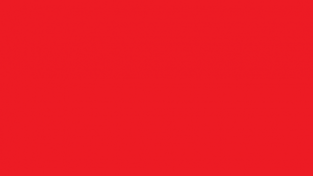 Red Napkin (Dozen)