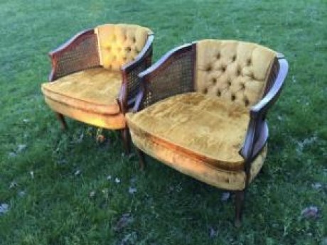 MUSTARD GOLD CHAIRS