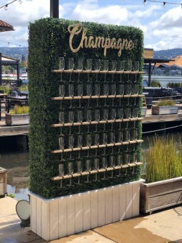 Champagne Grass Wall