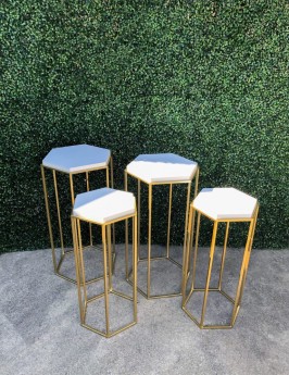Gold and White Top Pedestals