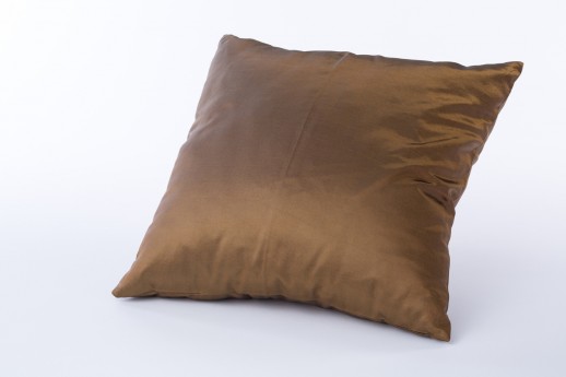 Bronze Pillow