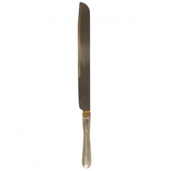 Silver and Gold Cake Knife