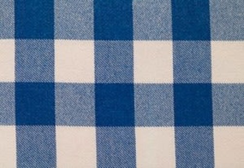 Blue and White Checkered