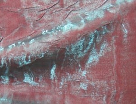 Crushed Iridescent Crimson Nile
