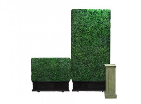 Evergreen Hedge Panel