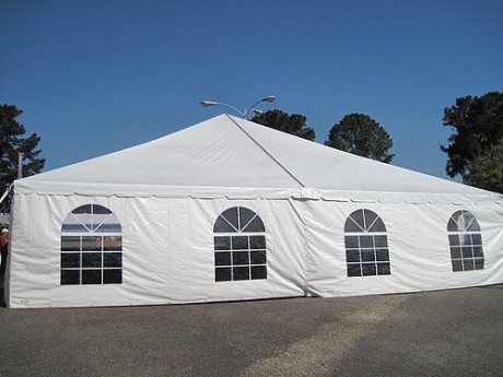 40' x 40' Canopy/Tent