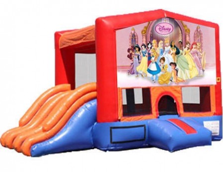 4-in-1 Combo with Double Slides - Princesses (Dry)