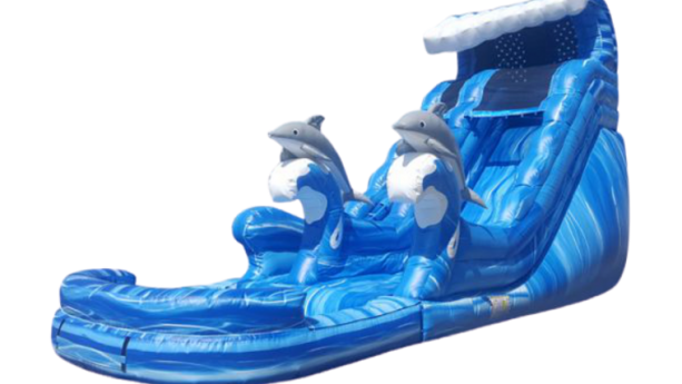 18' Dolphin Splash Inflatable Water Slide