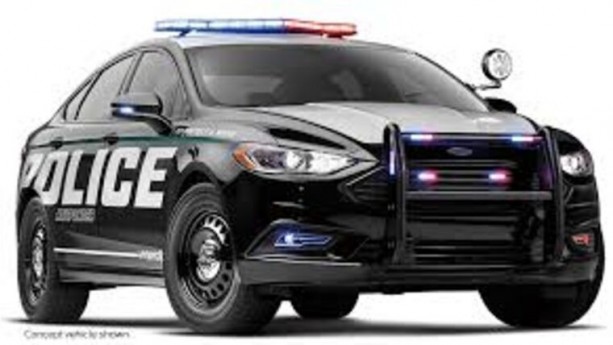 Real Life Police Car (Marked) Rental