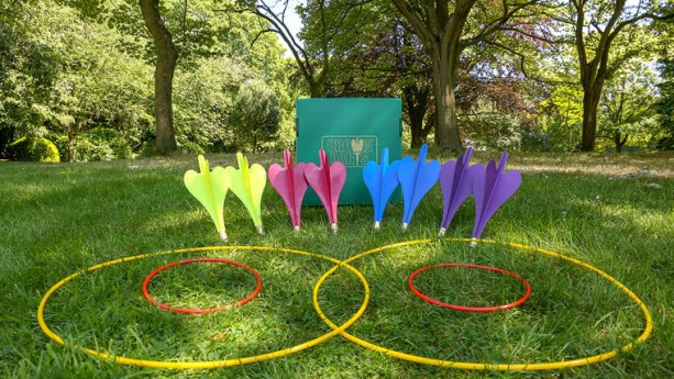 4 Player Lawn Darts Game
