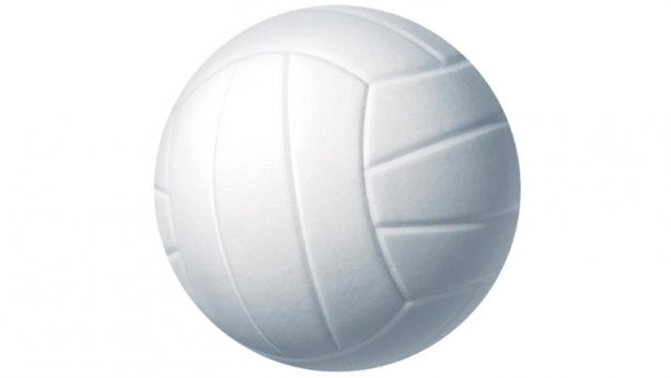 White Volleyball Rental
