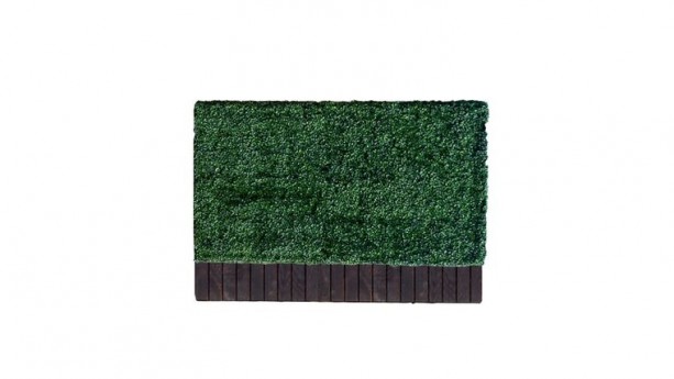 3'h x 6'w Boxwood Hedge With Planter