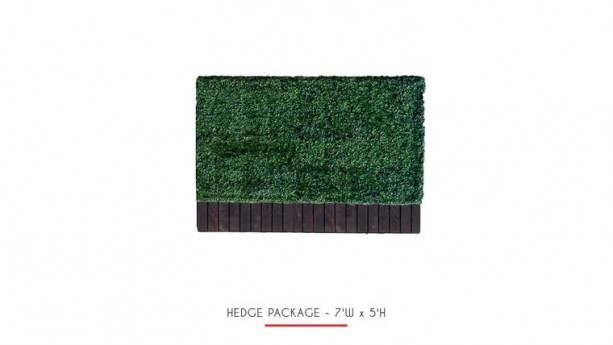 4'h x 6'w Boxwood Hedge With Planter