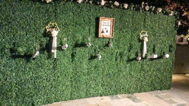 7' x 16' Living Champagne Wall