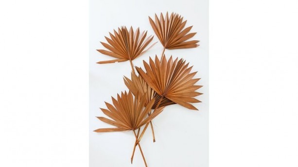 Terracotta Sun Palms