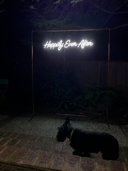 HAPPILY EVER AFTER GLOWING NEON LIGHT