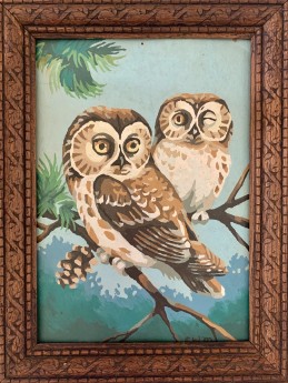WISE OWLS PAINT BY NUMBER