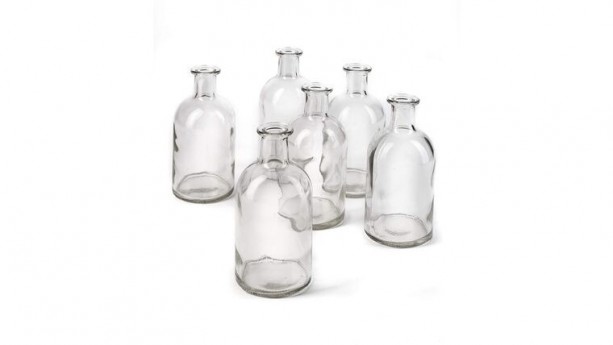 Clear Bottle Vases