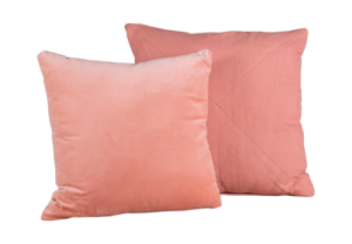 Coral Pillows
