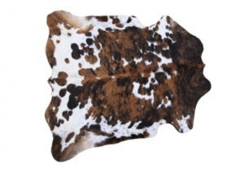 Cow Hide Rug – Texas