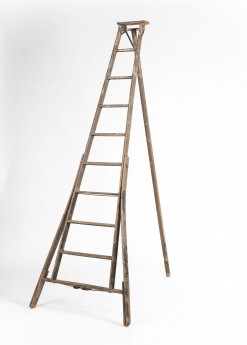 Lille Orchard Ladder