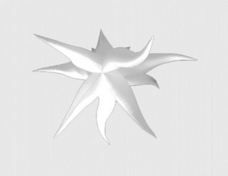 LILY STAR - LARGE