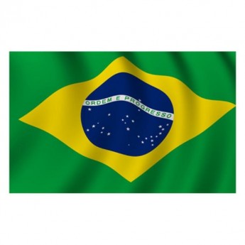 BRAZIL FLAG - LARGE