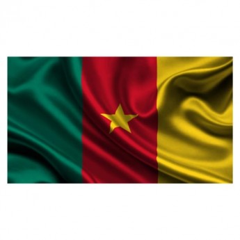 CAMEROON FLAG - LARGE