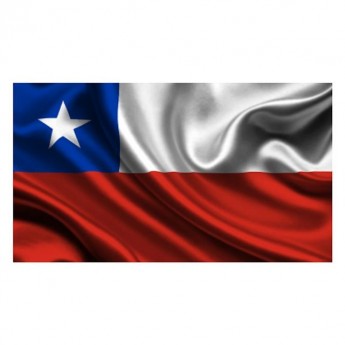 CHILE FLAG - SMALL