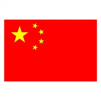 CHINA FLAG - SMALL