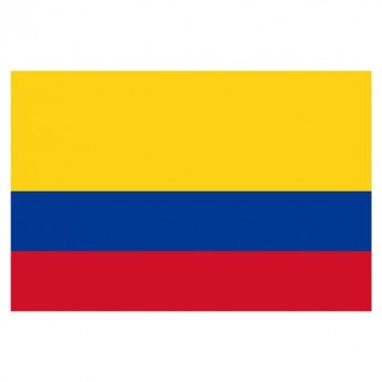 COLOMBIA FLAG - LARGE