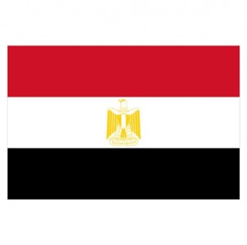 EGYPT FLAG - SMALL