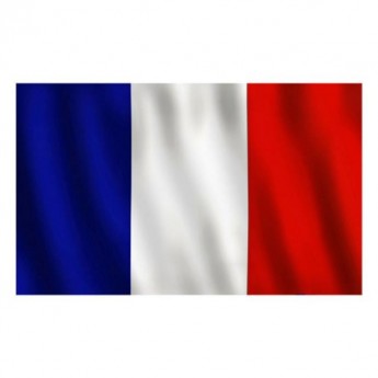 FRANCE FLAG - MEDIUM
