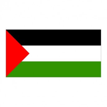 PALESTINE FLAG - SMALL