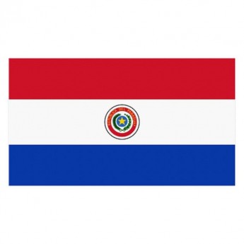 PARAGUAY FLAG - SMALL