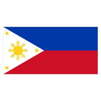 PHILIPPINES FLAG - SMALL
