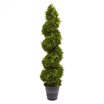 SPIRAL WAX LEAF TOPIARY