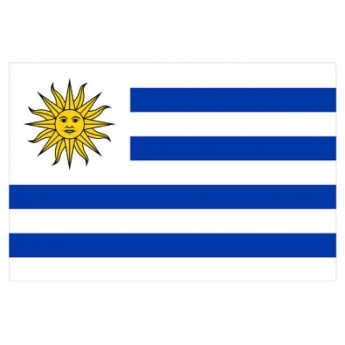 URUGUAY FLAG - SMALL