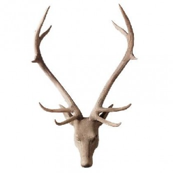 STAG HEAD