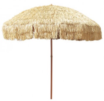Thatched Umbrellas with Stand