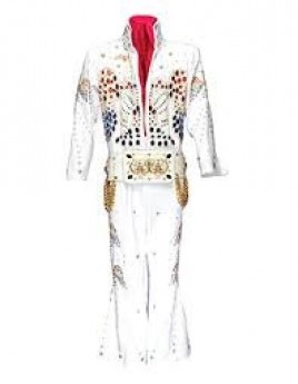 Elvis Costume (Professional)
