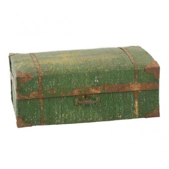CARLYLE GREEN TRUNK