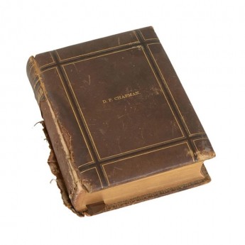 Pauline Vintage Bible