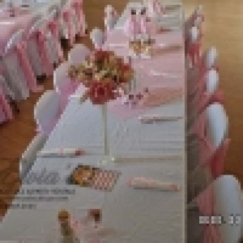Hall decorations - Pink Theme 22