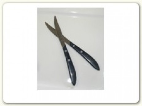 Steak Knife; Plastic handle