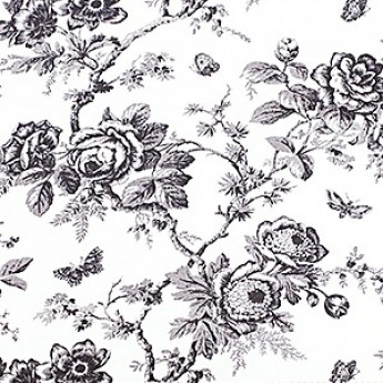 Specialty Patterns, Toile, Black