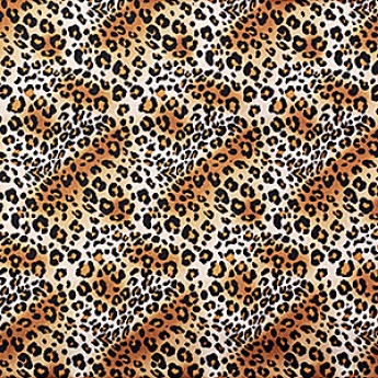 Print Overlays, Leopard